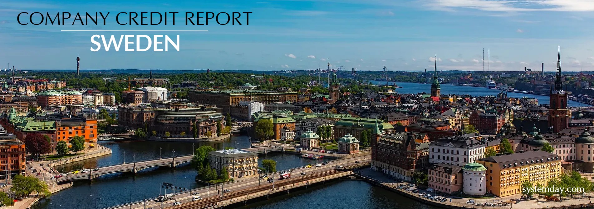 Sweden Company Credit Report