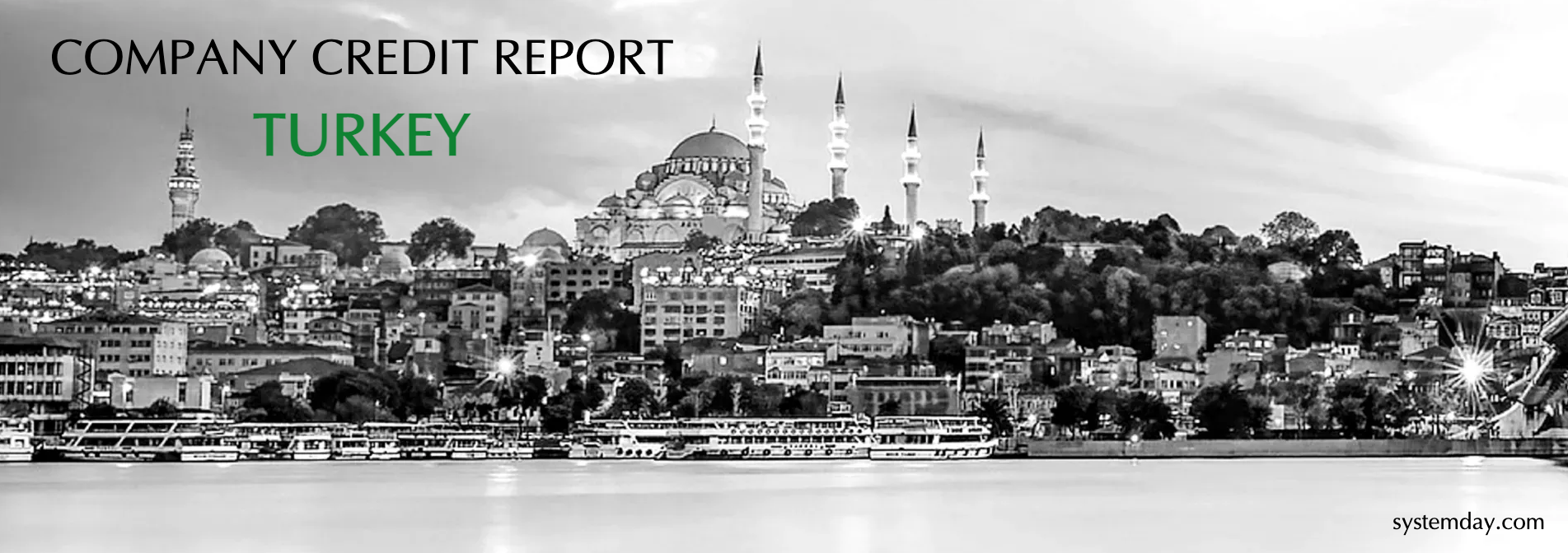 Turkey Company Credit Report