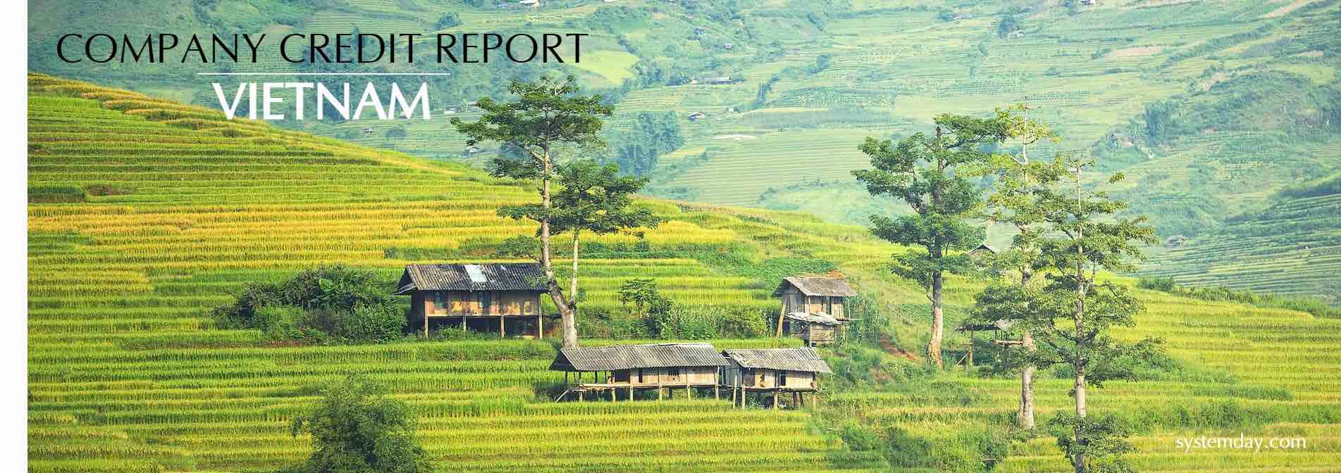 Vietnam Company Credit Report